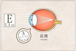 开云电竞官方入口截图3